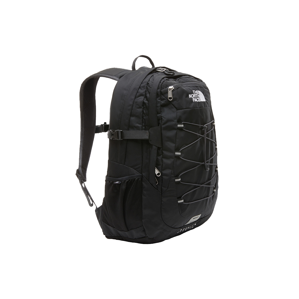 North face sac sales borealis