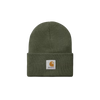 Carhartt WIP Acrylic watch Hat - Opuntia