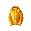 The North Face RMST Sierra Parka - Summit Gold